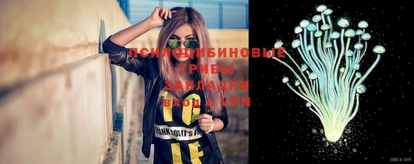 Альфа ПВП Зеленокумск