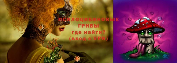 Альфа ПВП Зеленокумск